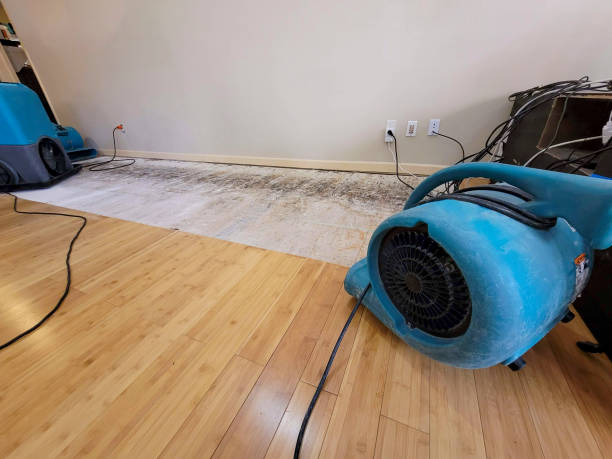 Professional Emergency Water Damage technician working in North Springfield, PA